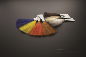 HCT shades